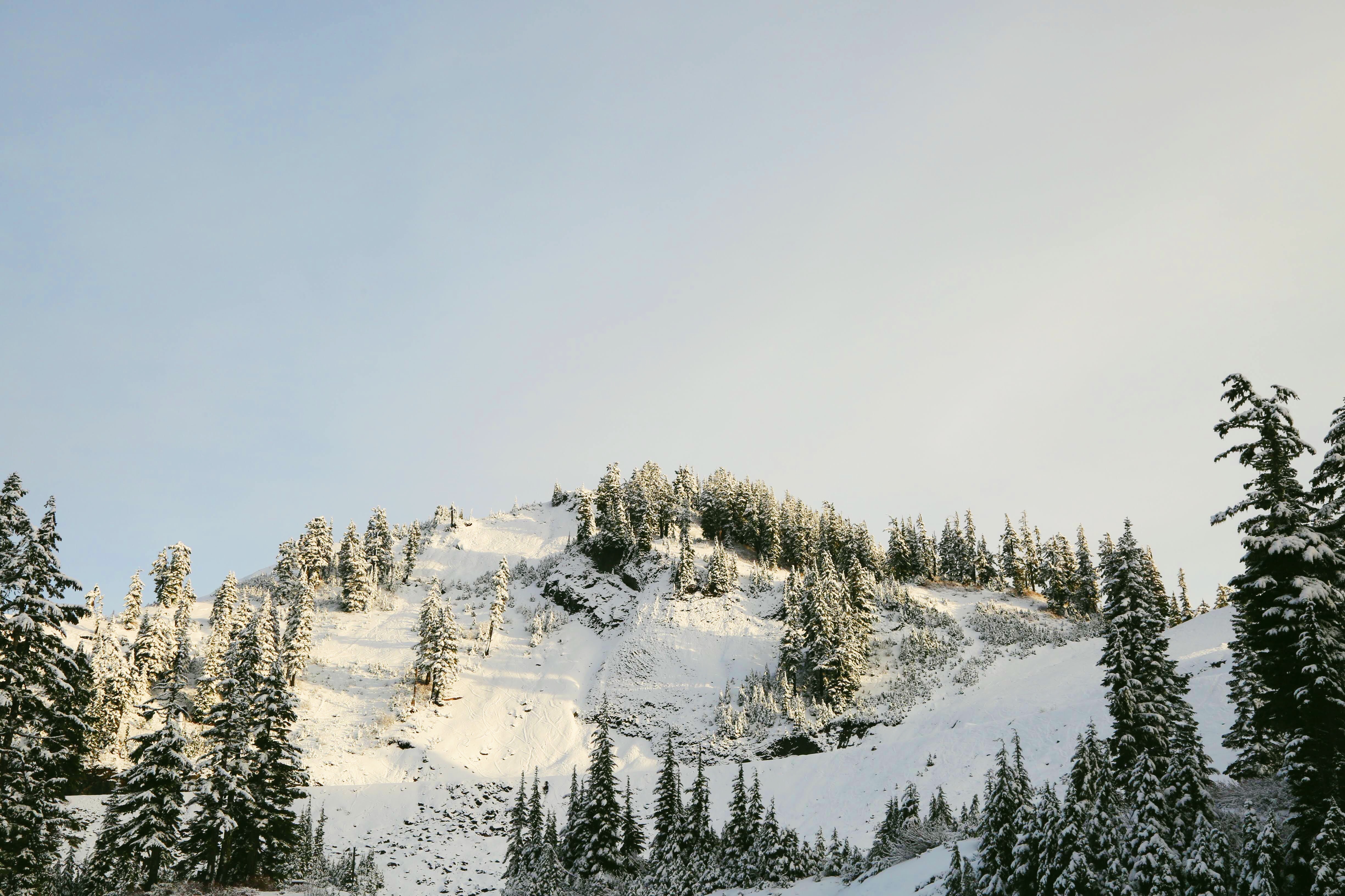 Mount Baker