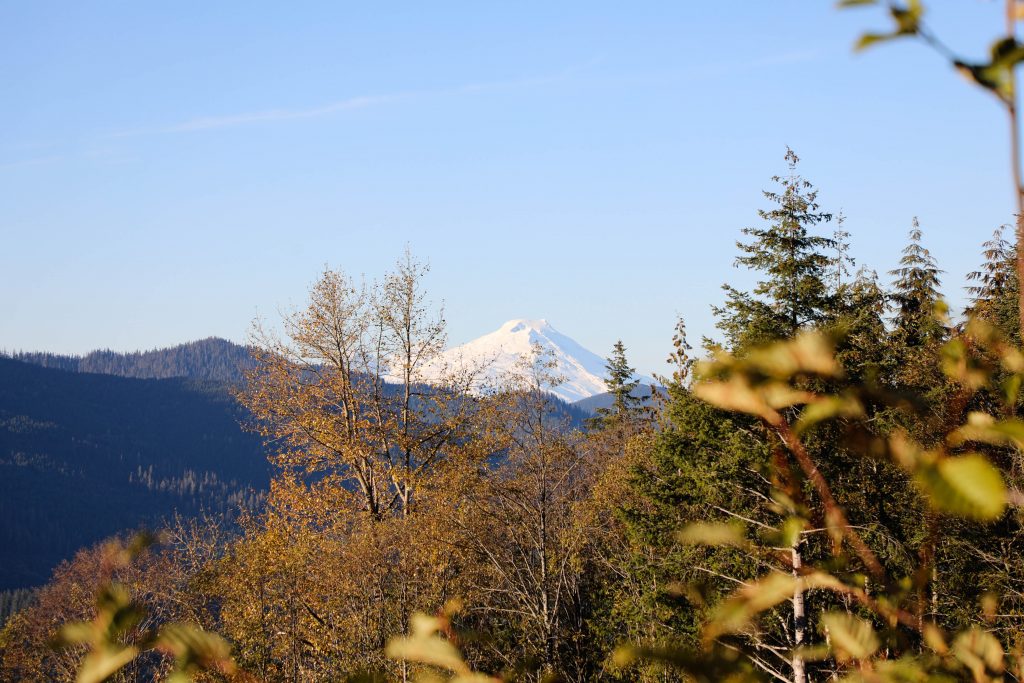 Mount Baker