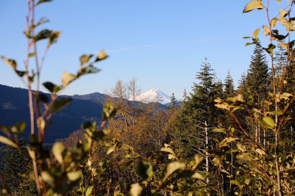 Mount Baker