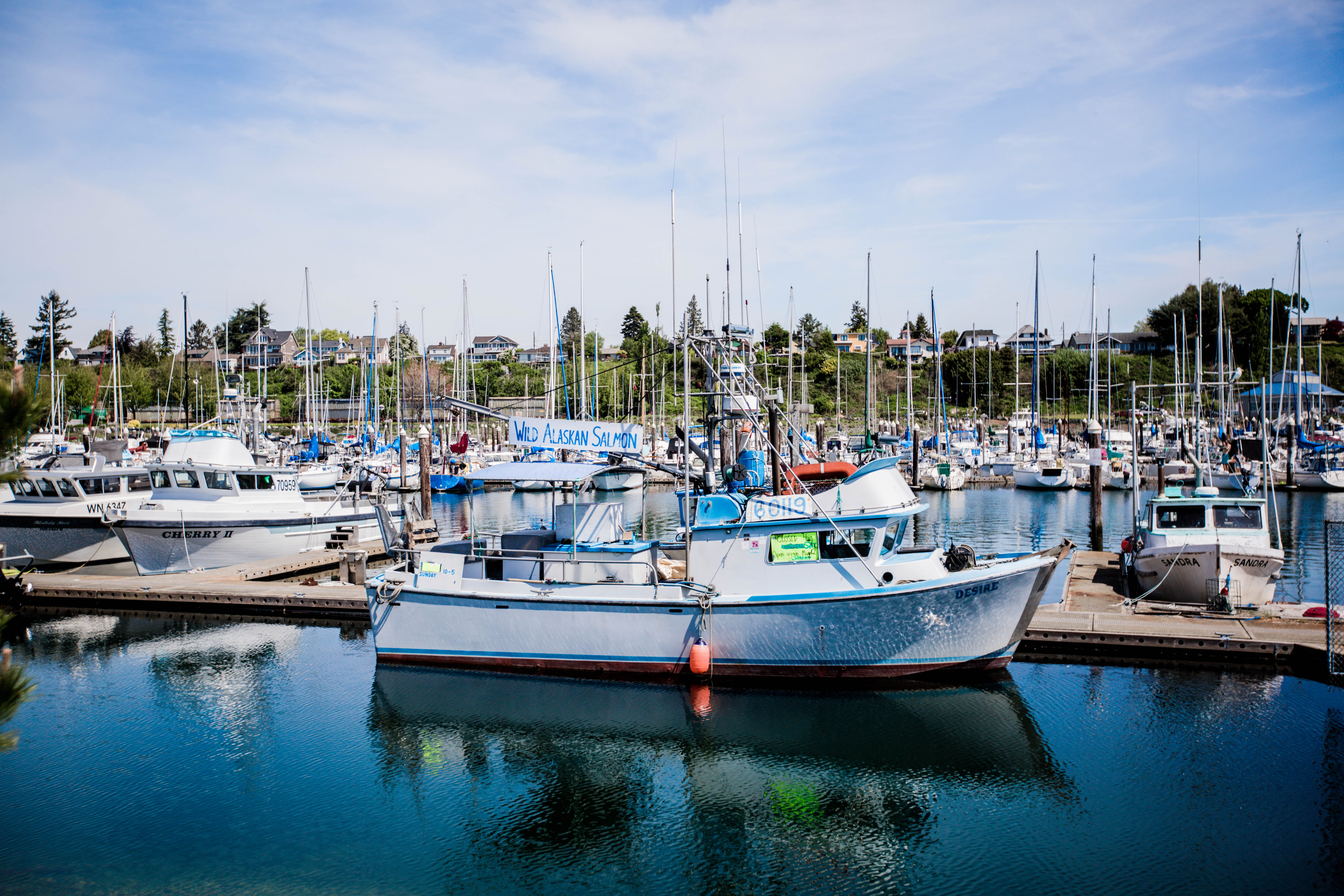 Fisherwomen