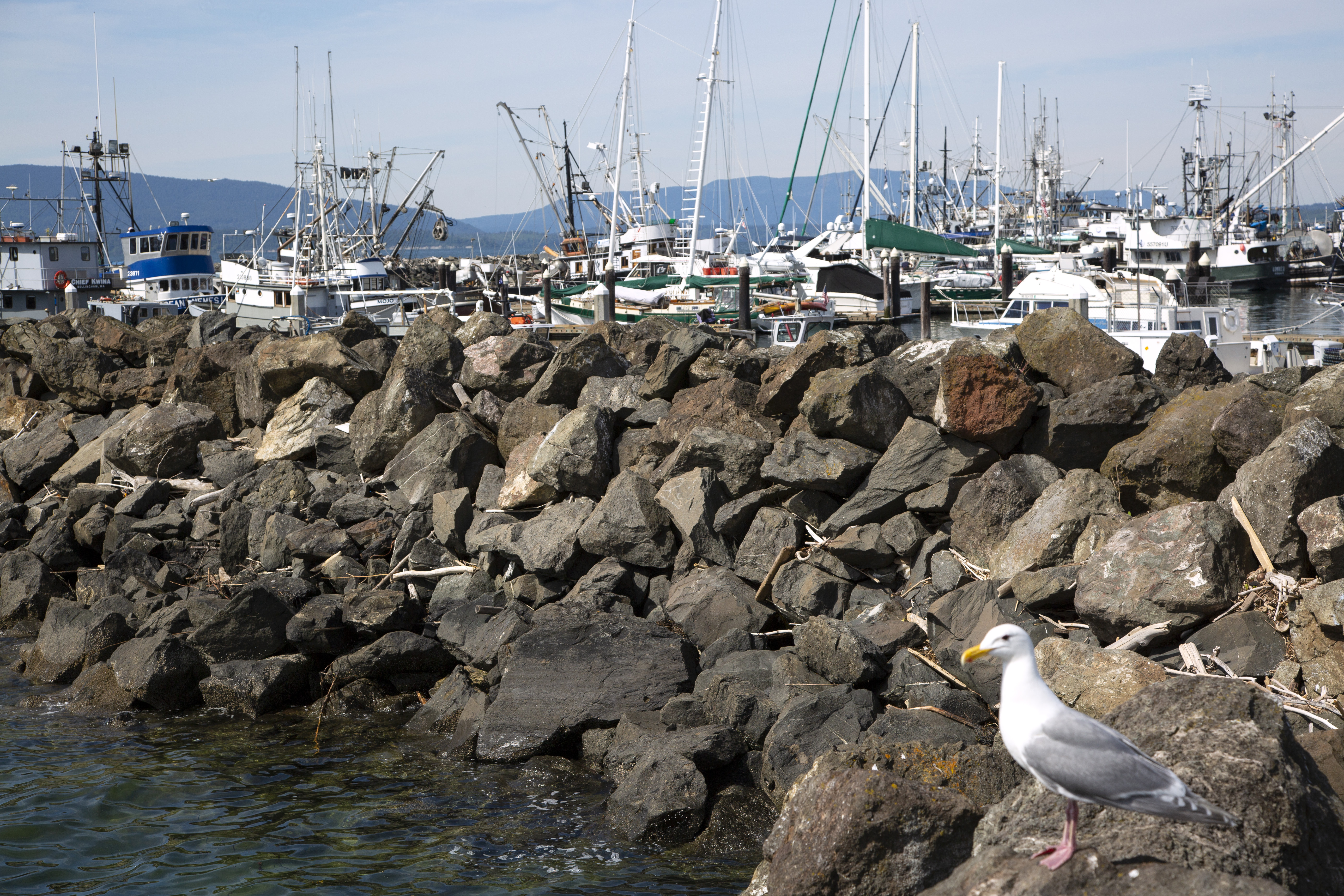 Fisherwomen